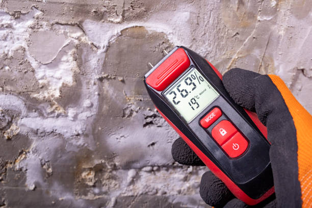 Best Commercial Mold Removal  in Lexington, TN