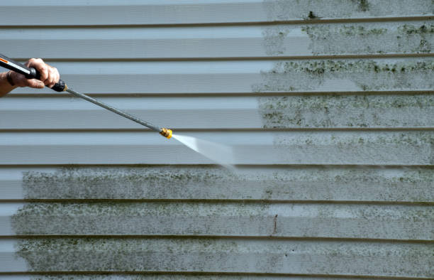 Certified Mold Removal in Lexington, TN