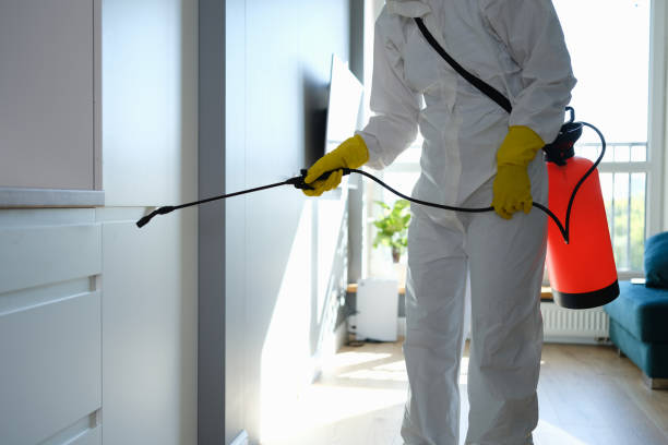 Best Toxic Mold Removal  in Lexington, TN