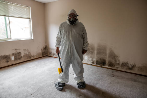 Best Professional Mold Removal  in Lexington, TN